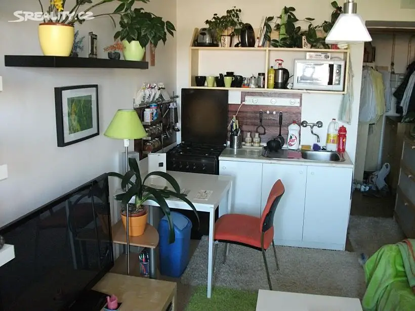 Pronájem bytu 1+kk 38 m², Sezemická, Pardubice - Bílé Předměstí