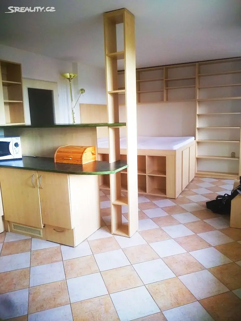 Pronájem bytu 1+kk 36 m², Máchova, Plzeň - Jižní Předměstí