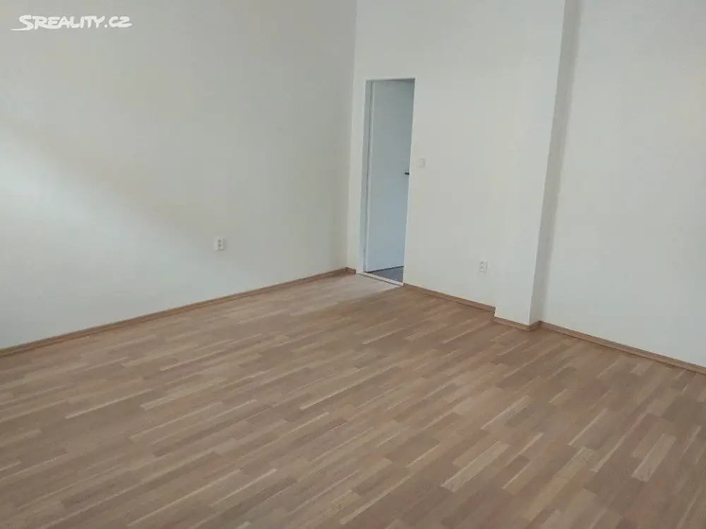 Pronájem bytu 2+1 57 m², Mostecká, Brno - Husovice