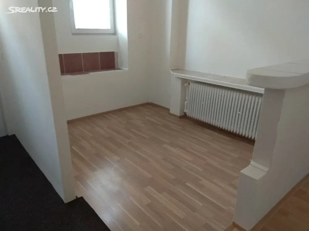 Pronájem bytu 2+1 57 m², Mostecká, Brno - Husovice