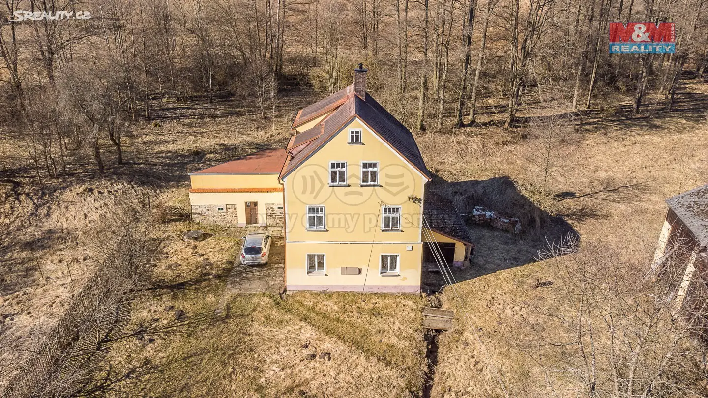 Pronájem  rodinného domu 300 m², pozemek 11 600 m², Plesná, okres Cheb