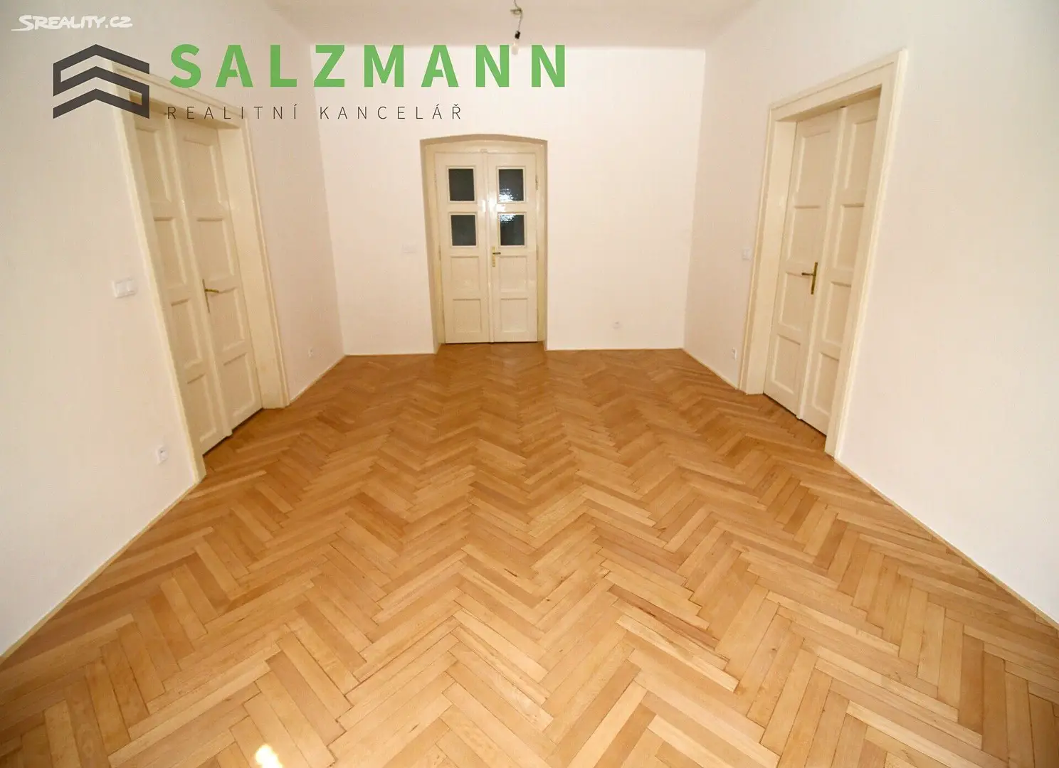 Pronájem bytu 3+1 123 m², Němejcova, Plzeň - Jižní Předměstí