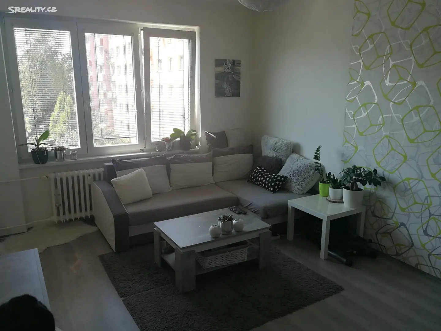 Pronájem bytu 2+1 53 m², Opavská, Ostrava