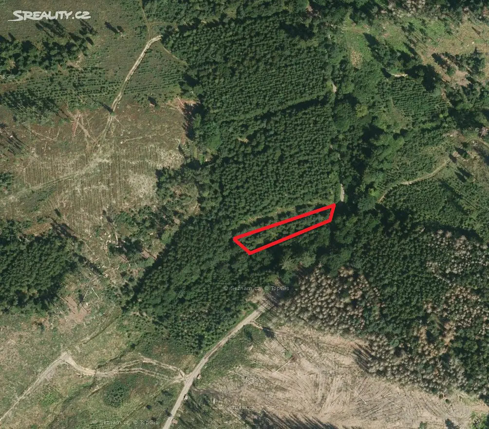 Prodej  lesa 1 097 m², Vážany, okres Blansko