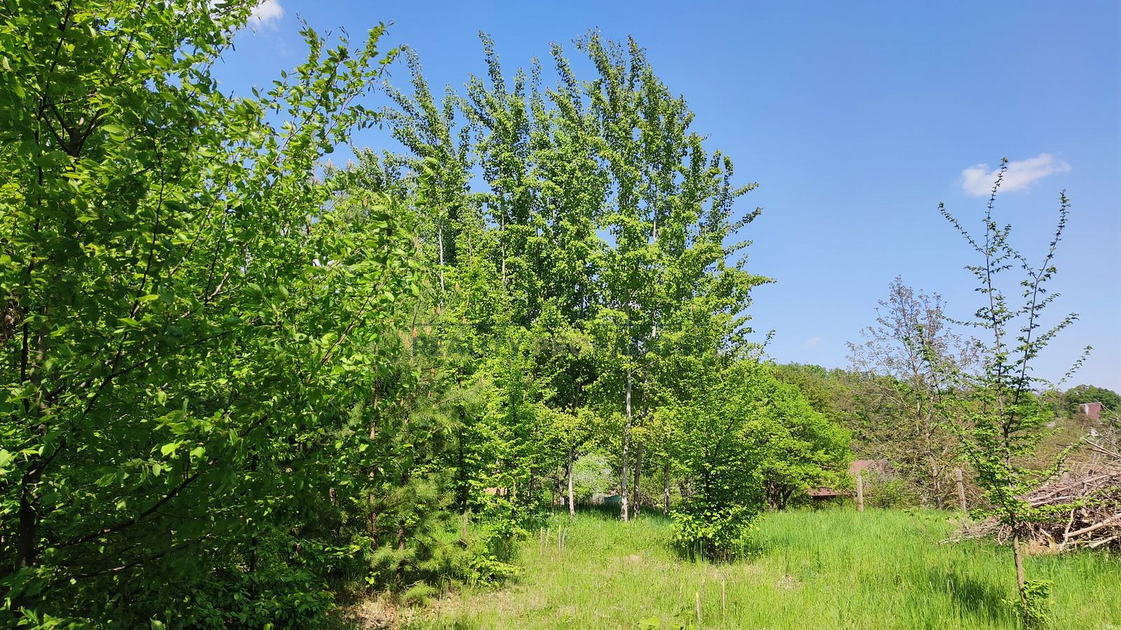 Habrovany, okres Vyškov