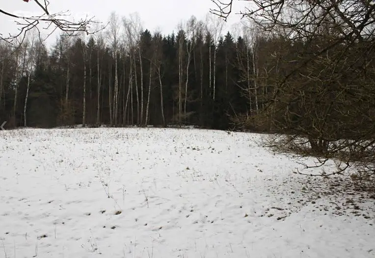 Prodej  lesa 9 600 m², Dolní Dobrouč - Lanšperk, okres Ústí nad Orlicí