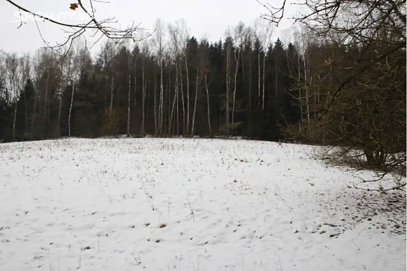 Prodej  lesa 9 600 m², Dolní Dobrouč - Lanšperk, okres Ústí nad Orlicí