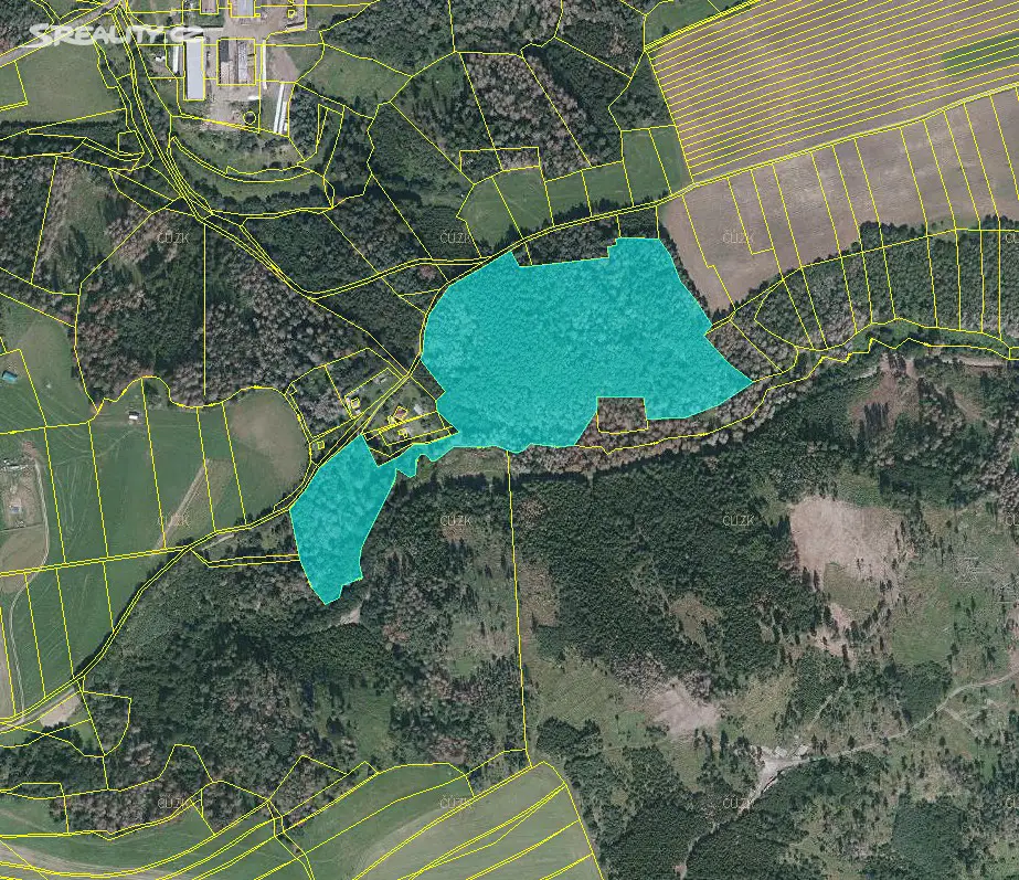 Prodej  lesa 3 594 m², Letovice - Lhota, okres Blansko