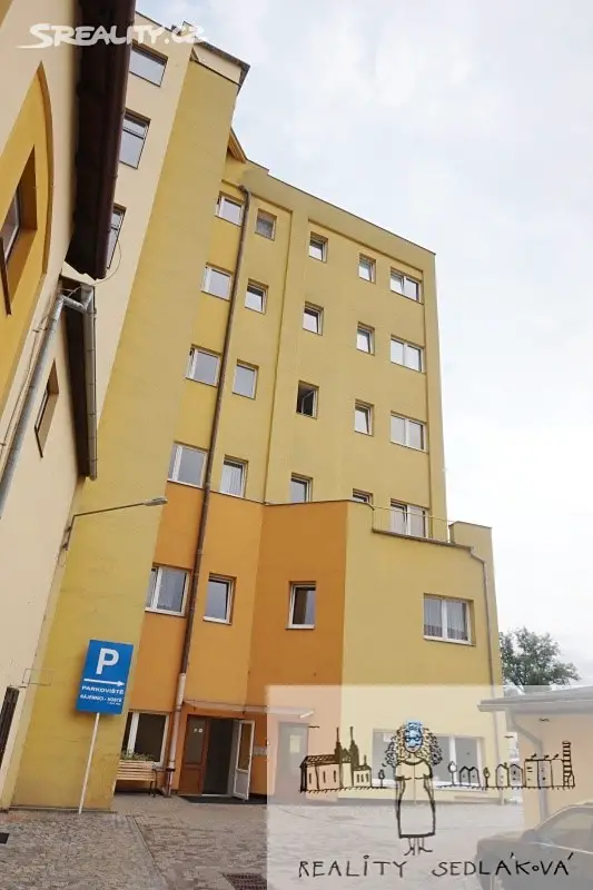 Pronájem bytu 1+kk 24 m², Svitavské nábřeží, Brno - Brno-sever