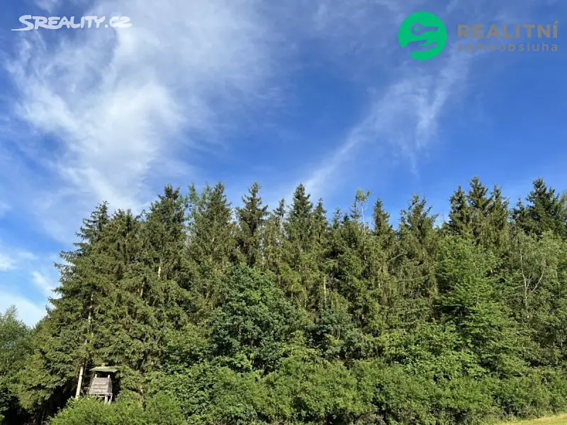Prodej  lesa 7 485 m², Řehenice - Malešín, okres Benešov