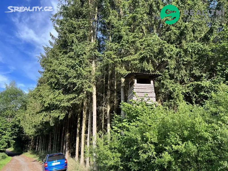 Prodej  lesa 7 485 m², Řehenice - Malešín, okres Benešov