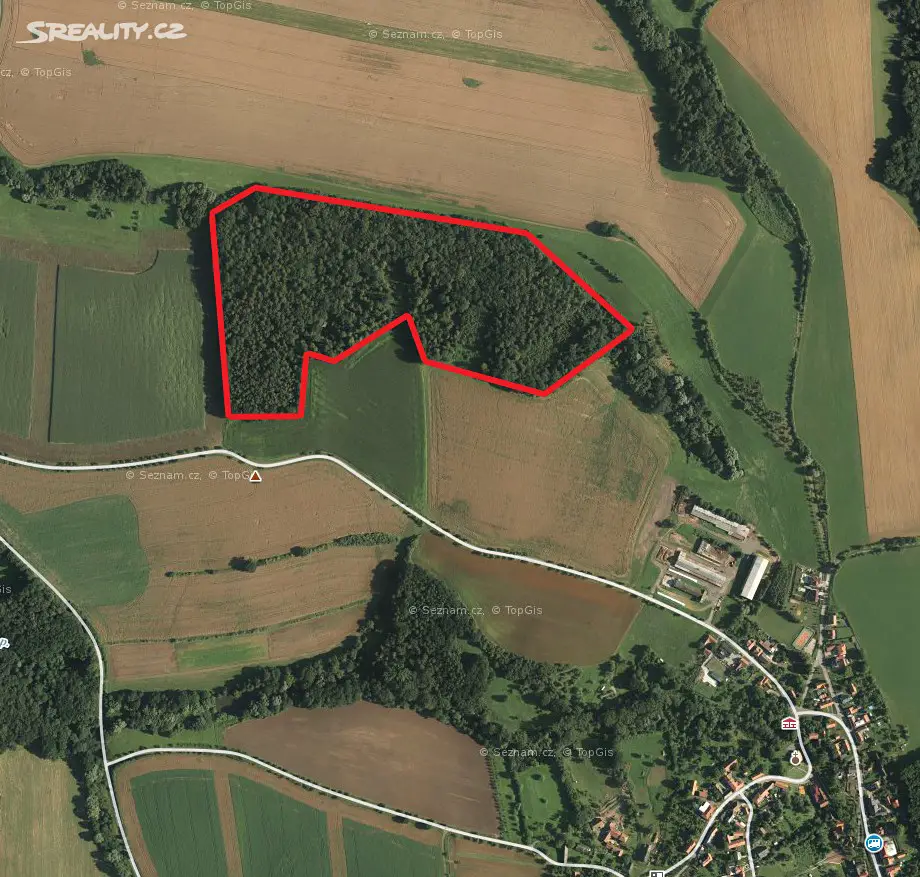 Prodej  lesa 1 585 m², Zámrsky, okres Přerov