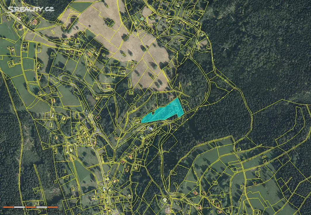 Prodej  lesa 9 221 m², Desná - Desná III, okres Jablonec nad Nisou