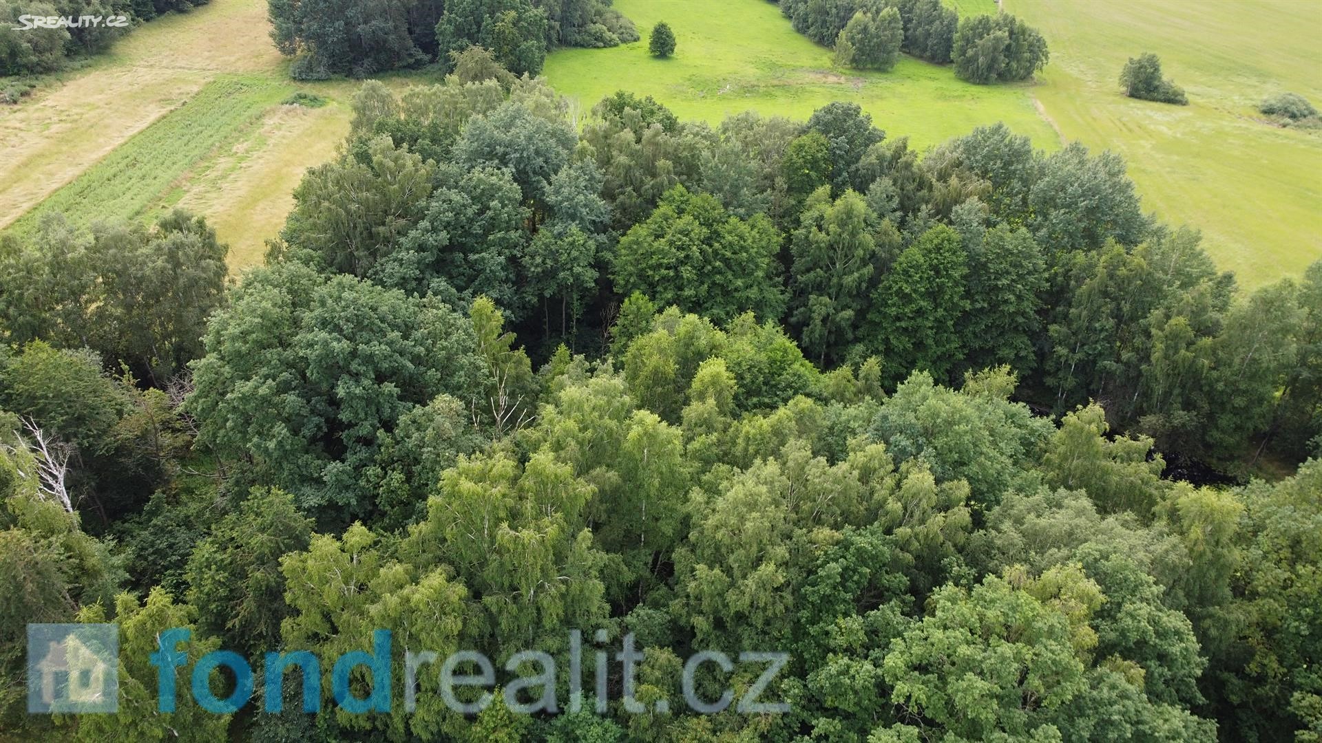 Prodej  pozemku 7 860 m², Dolní Žandov, okres Cheb