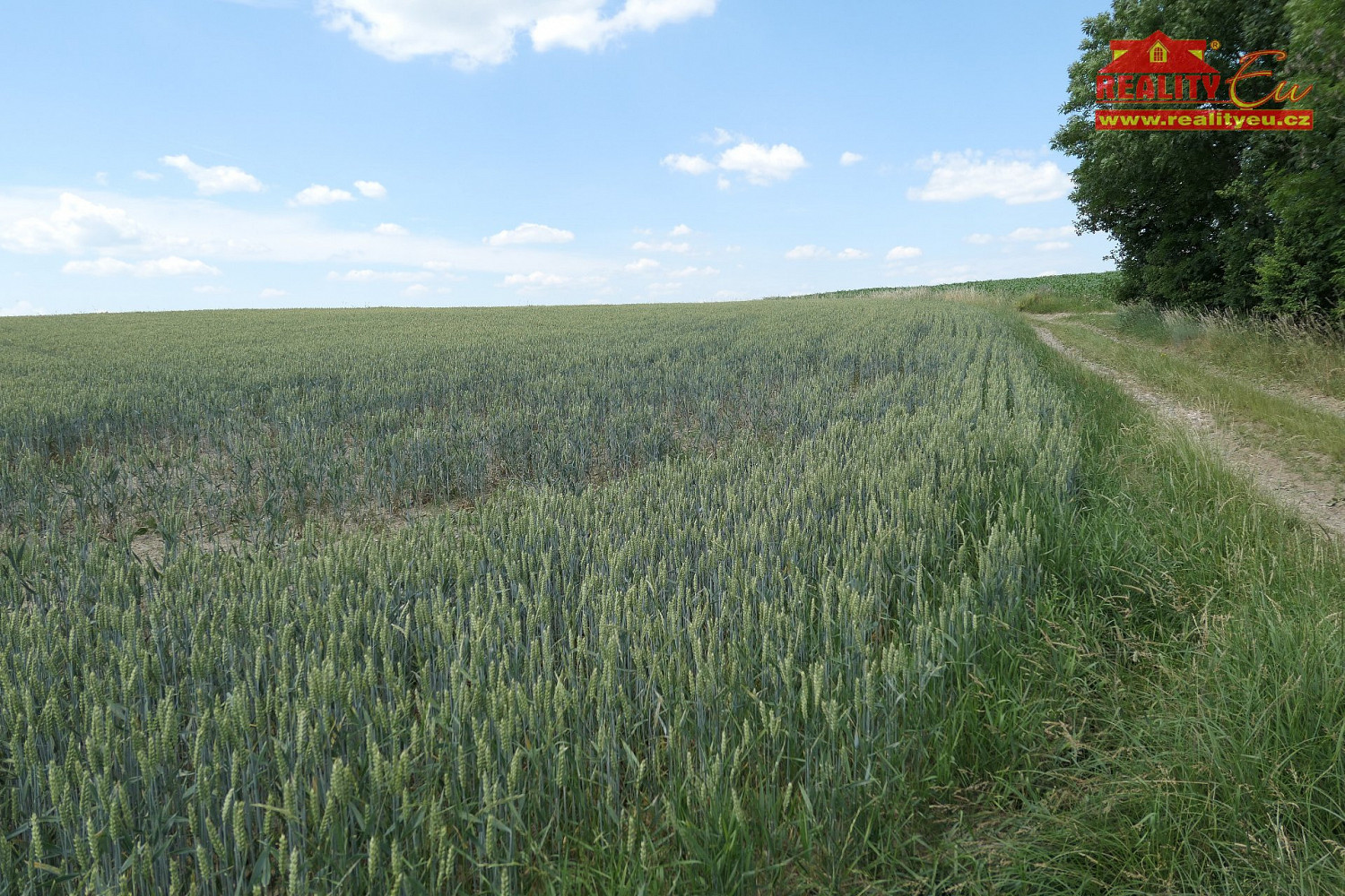 Dobré, okres Rychnov nad Kněžnou