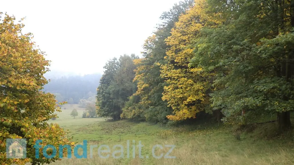 Přimda, okres Tachov