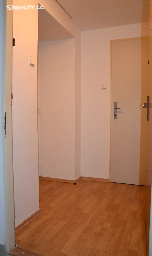 Pronájem bytu 1+kk 30 m², Koldínova, Praha 3 - Žižkov