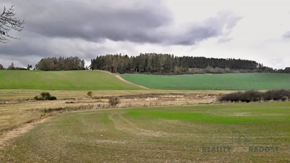 Nové Město, Hradec Králové