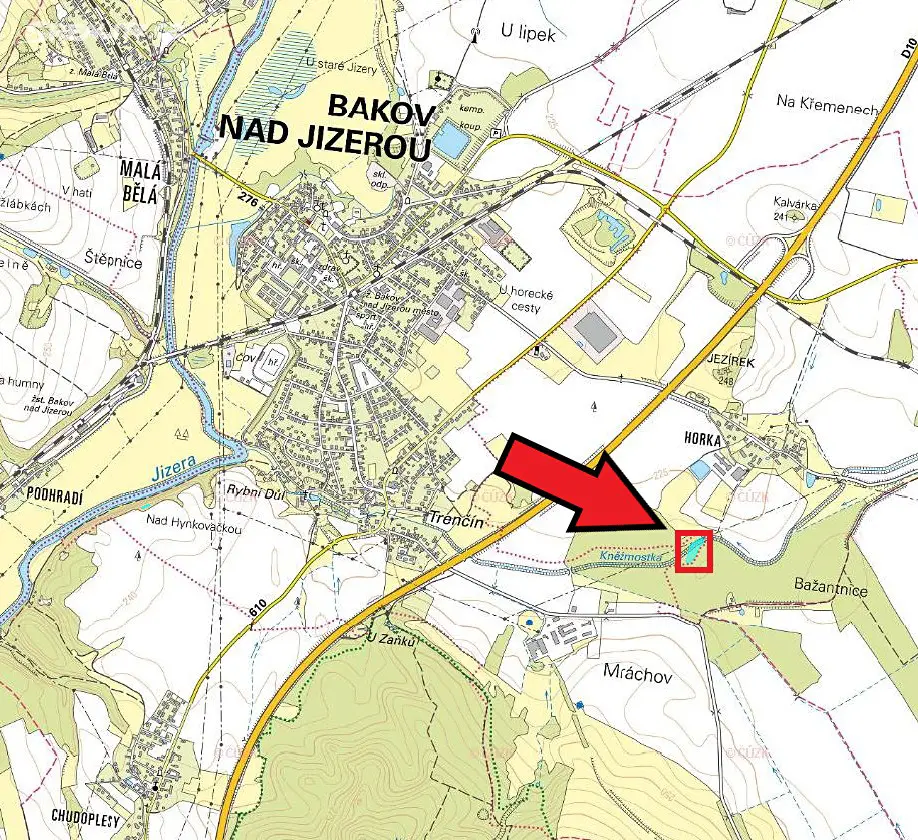 Prodej  lesa 4 606 m², Bakov nad Jizerou, okres Mladá Boleslav