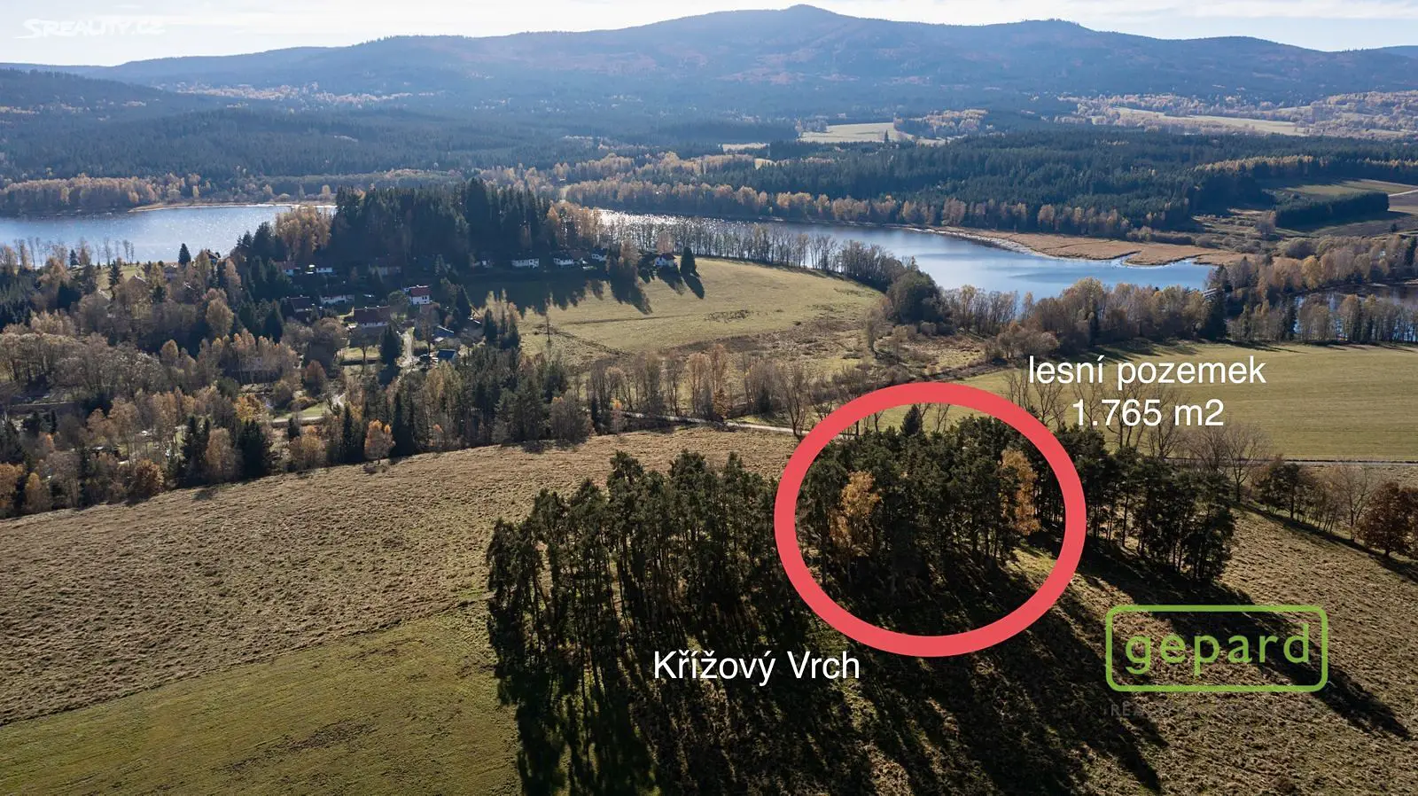 Prodej  lesa 26 973 m², Horní Planá, okres Český Krumlov