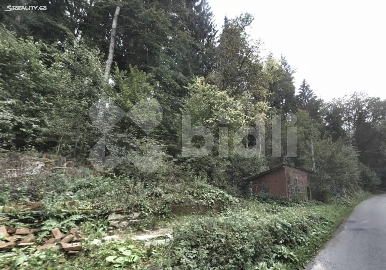 Prodej  lesa 951 m², Klášterec nad Orlicí, okres Ústí nad Orlicí