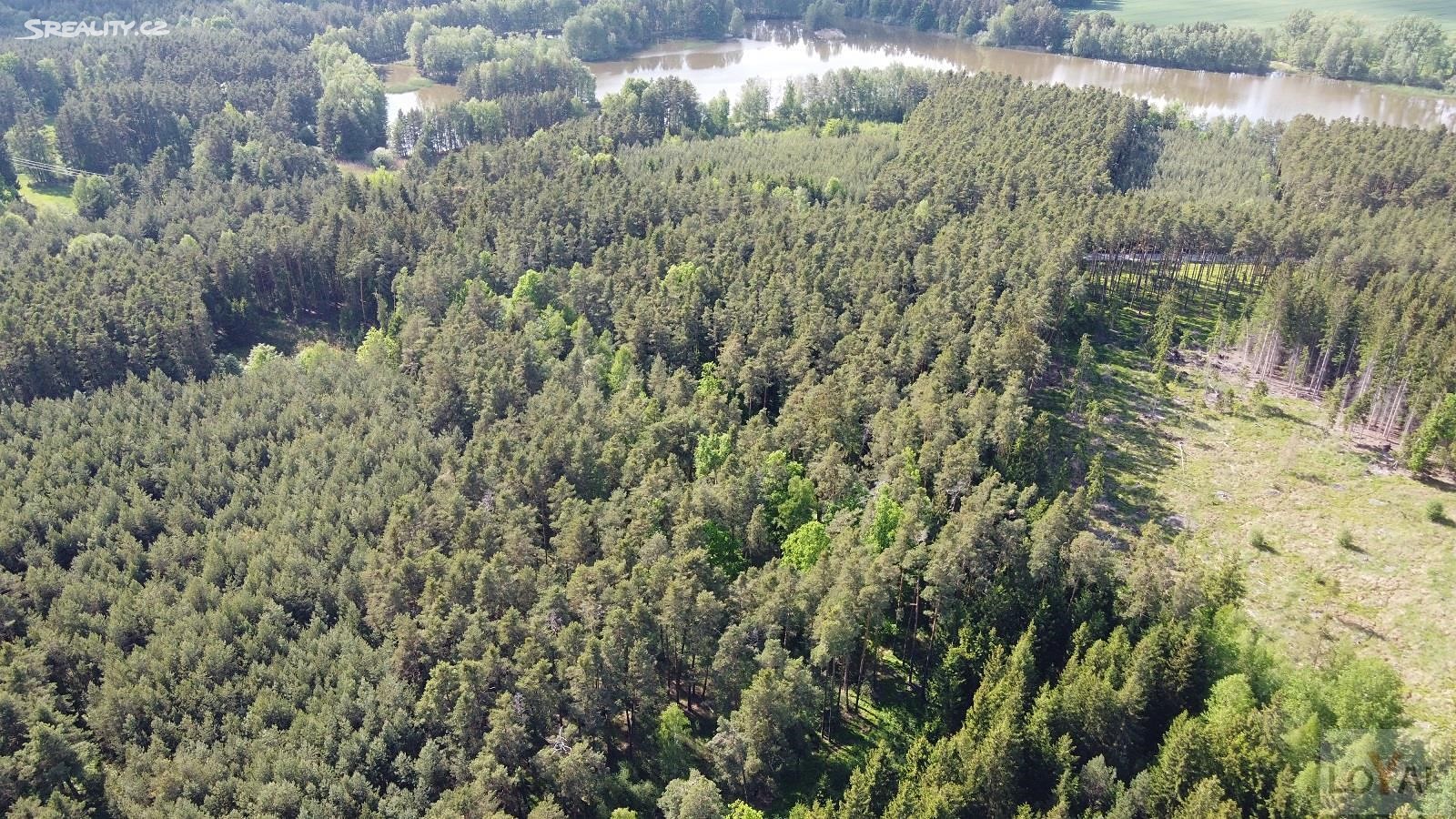 Prodej  lesa 8 812 m², Příbraz, okres Jindřichův Hradec