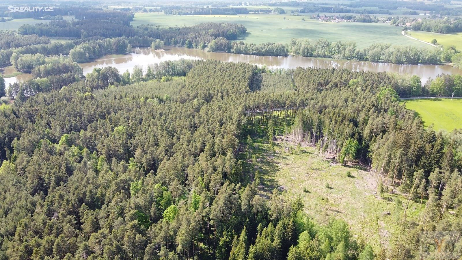 Prodej  lesa 8 812 m², Příbraz, okres Jindřichův Hradec
