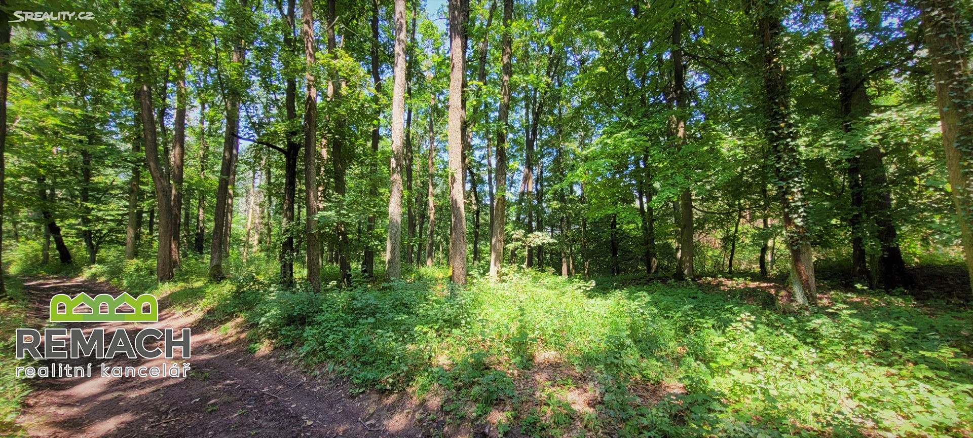 Prodej  lesa 18 783 m², Slavětín nad Metují, okres Náchod
