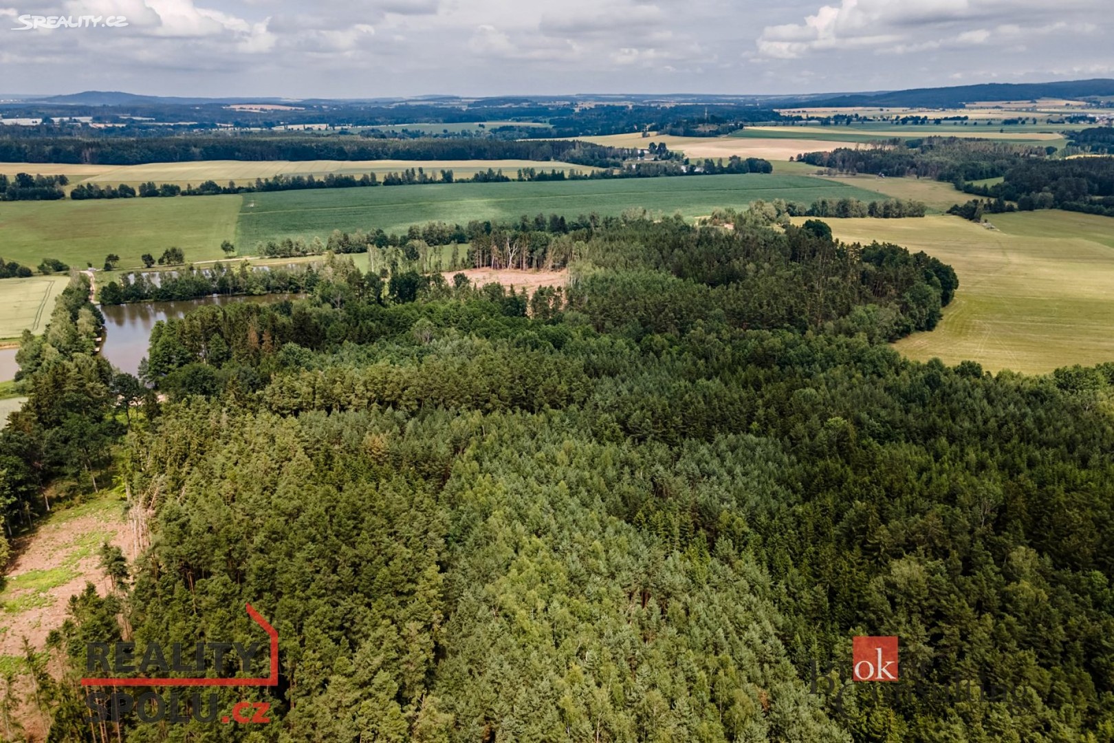 Prodej  lesa 586 m², Višňová, okres Příbram