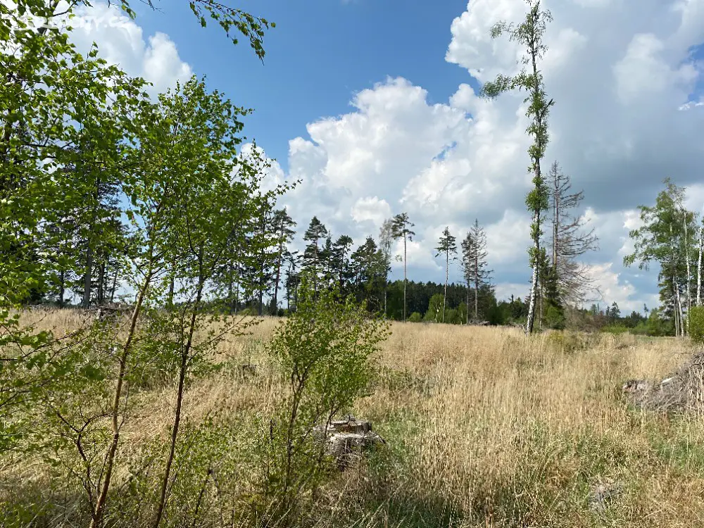 Prodej  lesa 17 923 m², Želetava, okres Třebíč