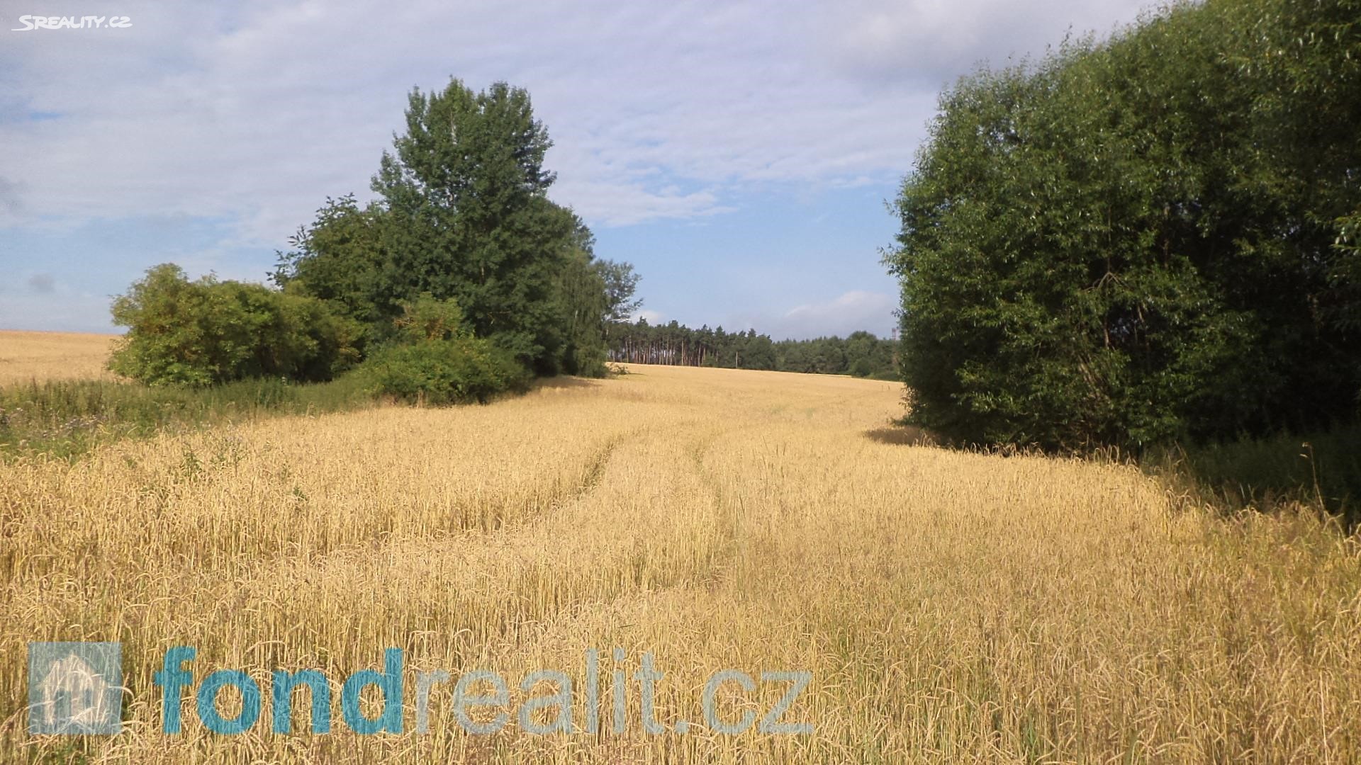 Prodej  pozemku 13 868 m², Manětín, okres Plzeň-sever