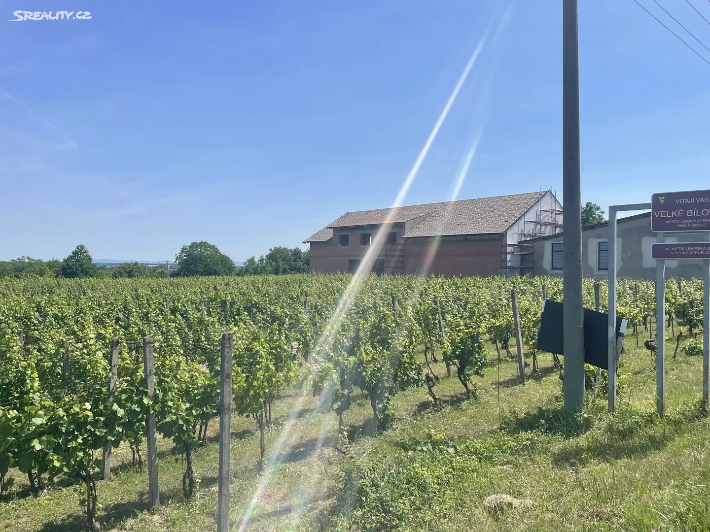Prodej  sadu, vinice 1 000 m², Velké Bílovice, okres Břeclav