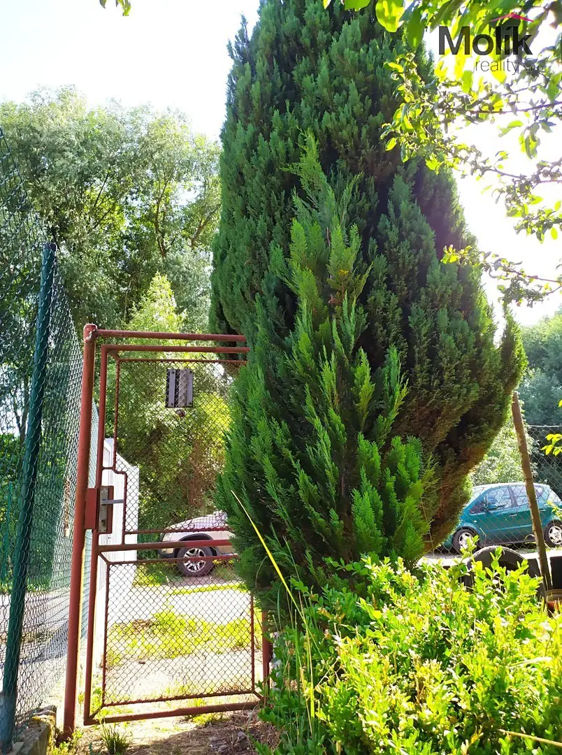 Prodej  zahrady 335 m², Braňany, okres Most
