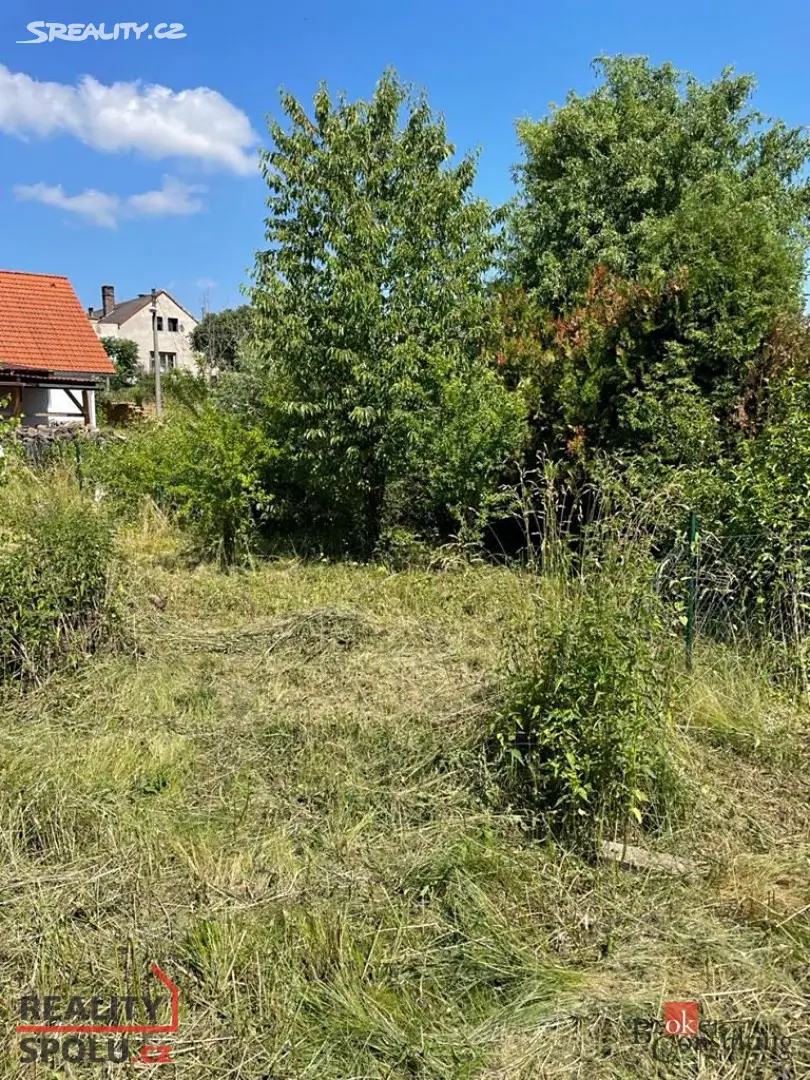 Prodej  zahrady 347 m², Žďár nad Orlicí, okres Rychnov nad Kněžnou