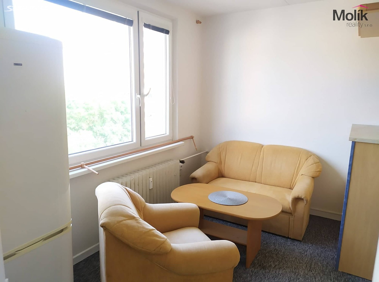 Pronájem bytu 1+1 35 m², Mostecká, Litvínov - Horní Litvínov
