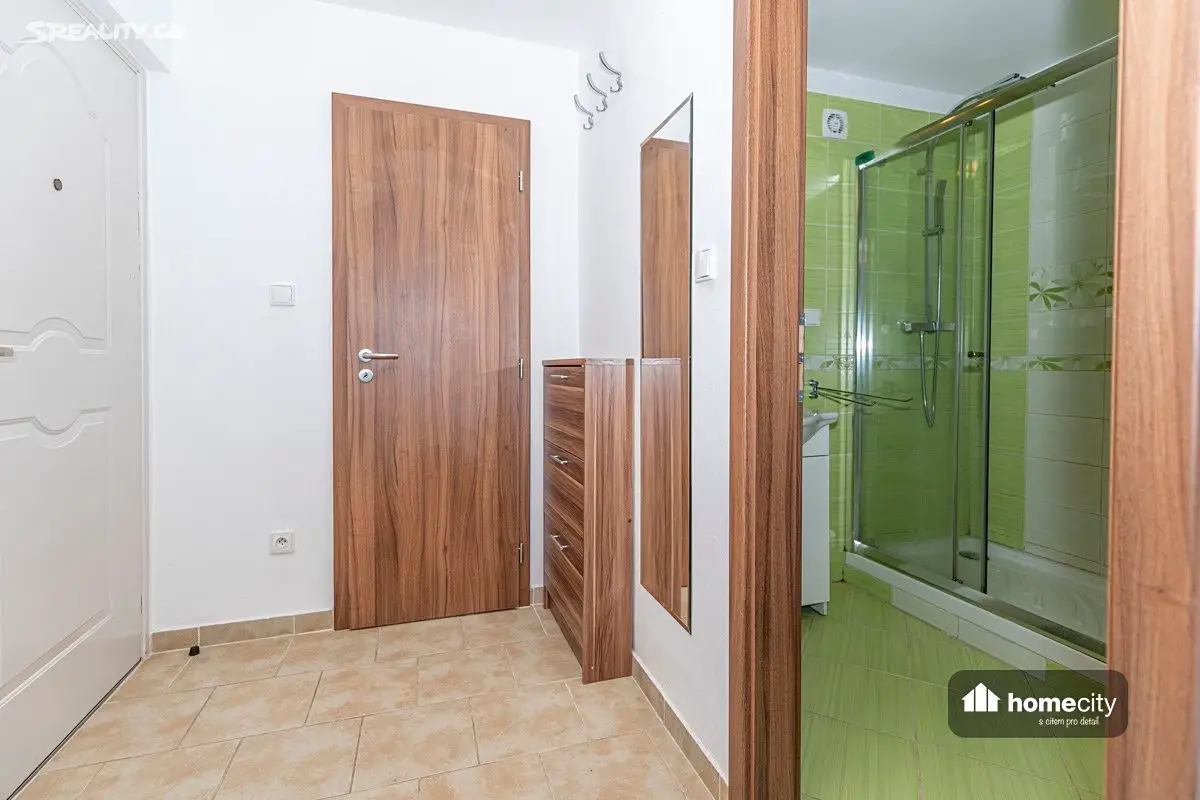Pronájem bytu 1+1 47 m², Nerudova, Pardubice - Zelené Předměstí