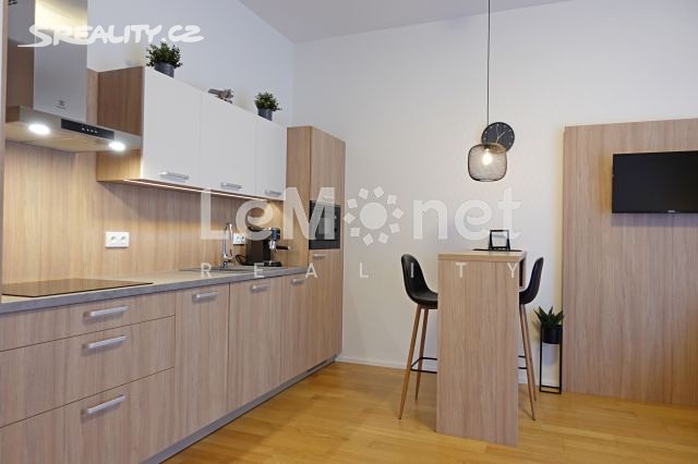 Pronájem bytu 1+kk 54 m², Mlýnská, Brno - Trnitá