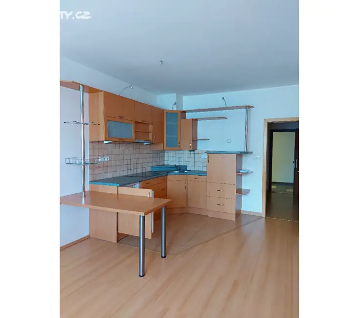 Pronájem bytu 1+kk 30 m², Lidická, Brno - Veveří