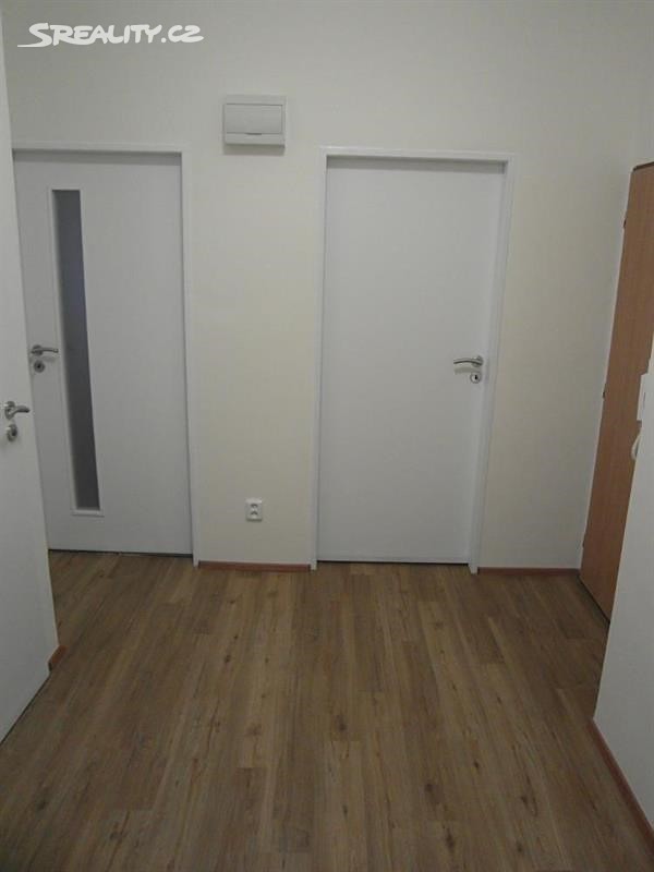 Pronájem bytu 2+1 55 m², Štefánikova, Brno