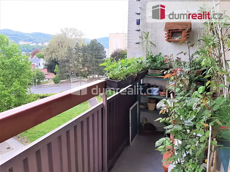 Prodej bytu 4+1 83 m², Přemyslovců, Ústí nad Labem - Krásné Březno