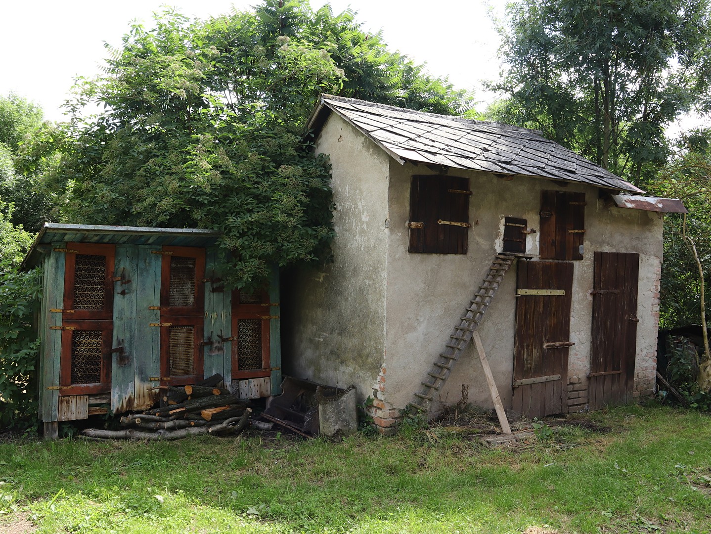 Prodej  rodinného domu 70 m², pozemek 1 496 m², Miřetice - Bošov, okres Chrudim