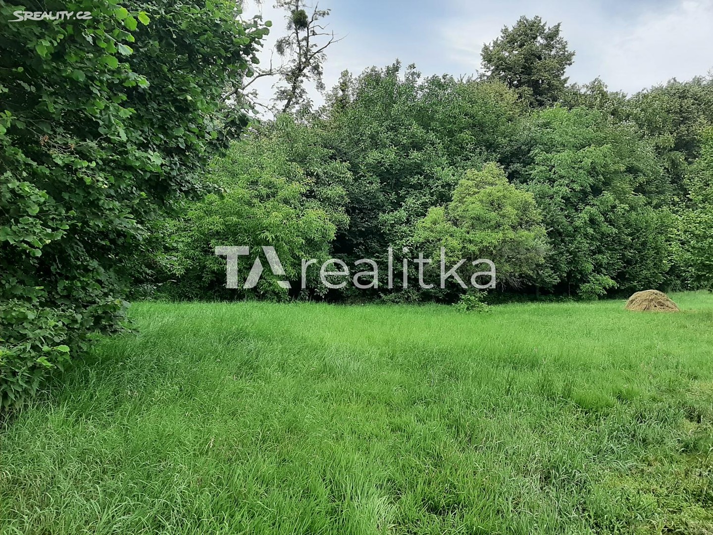 Prodej  zemědělské usedlosti 140 m², pozemek 8 433 m², Krušinova, Ostrava - Radvanice