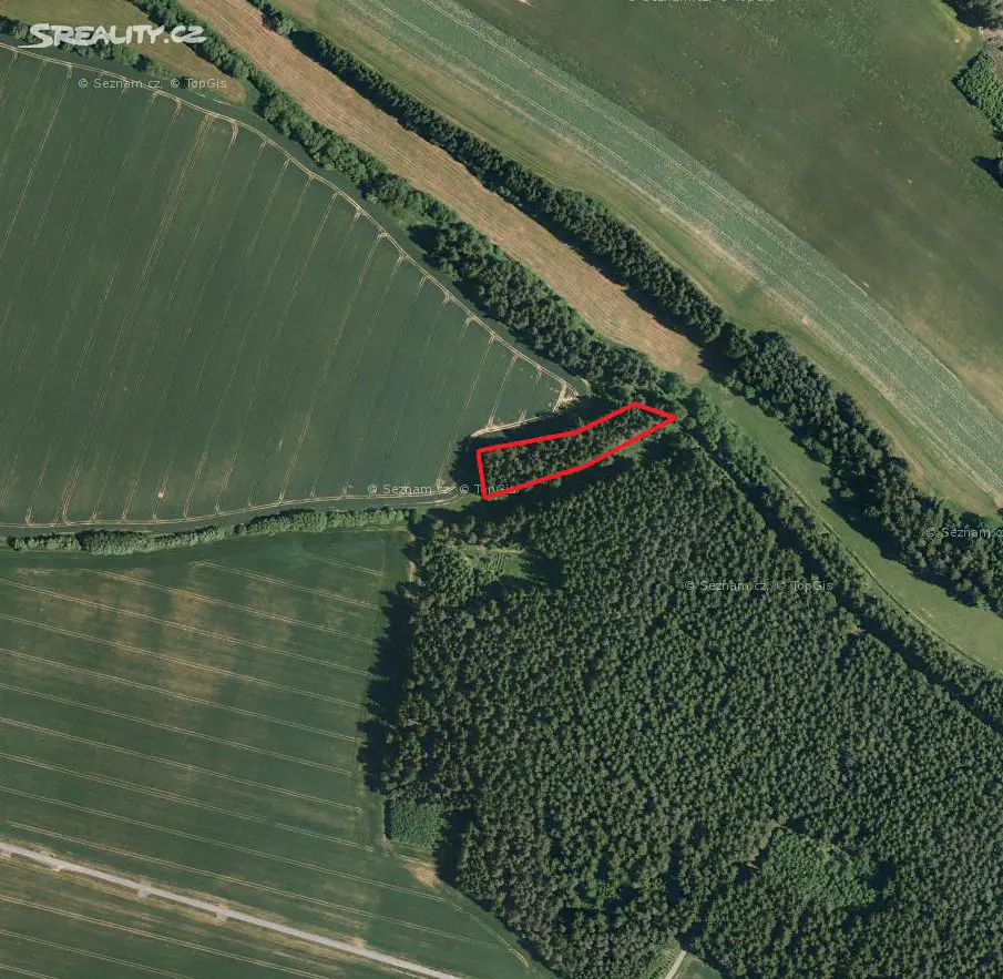 Prodej  lesa 834 m², Děkanovice, okres Benešov