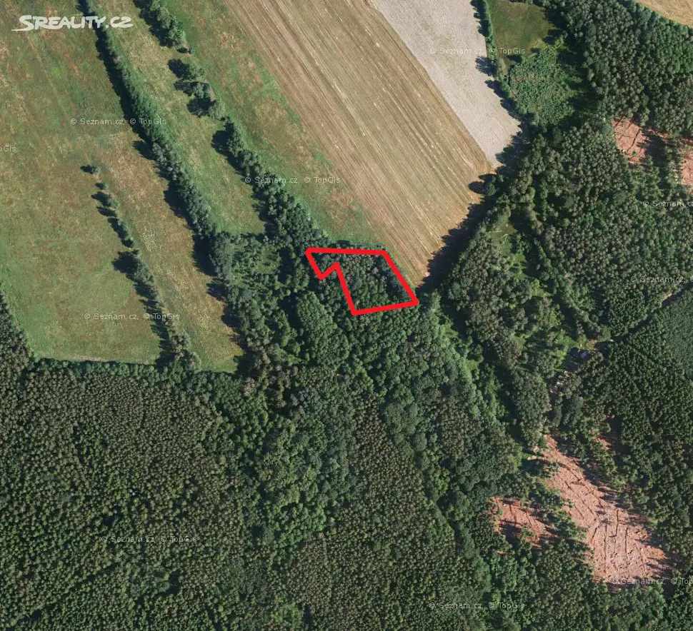 Prodej  lesa 1 803 m², Dětřichov, okres Liberec