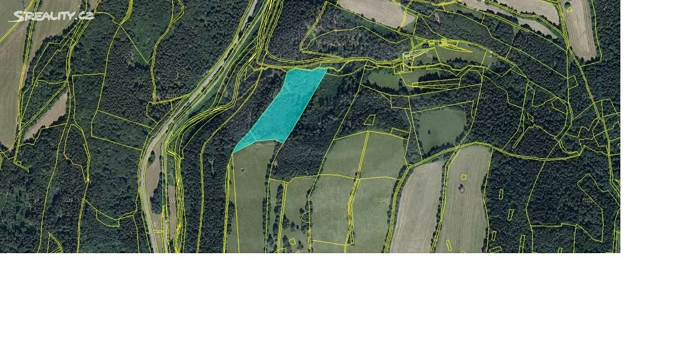 Prodej  lesa 21 683 m², Jindřichov - Nové Losiny, okres Šumperk