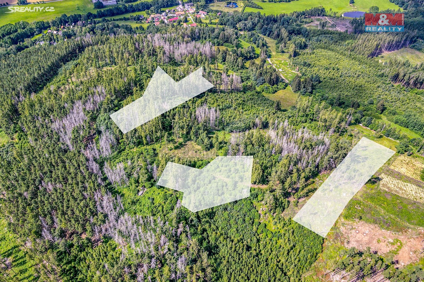 Prodej  lesa 18 746 m², Mileč - Záhoří, okres Plzeň-jih