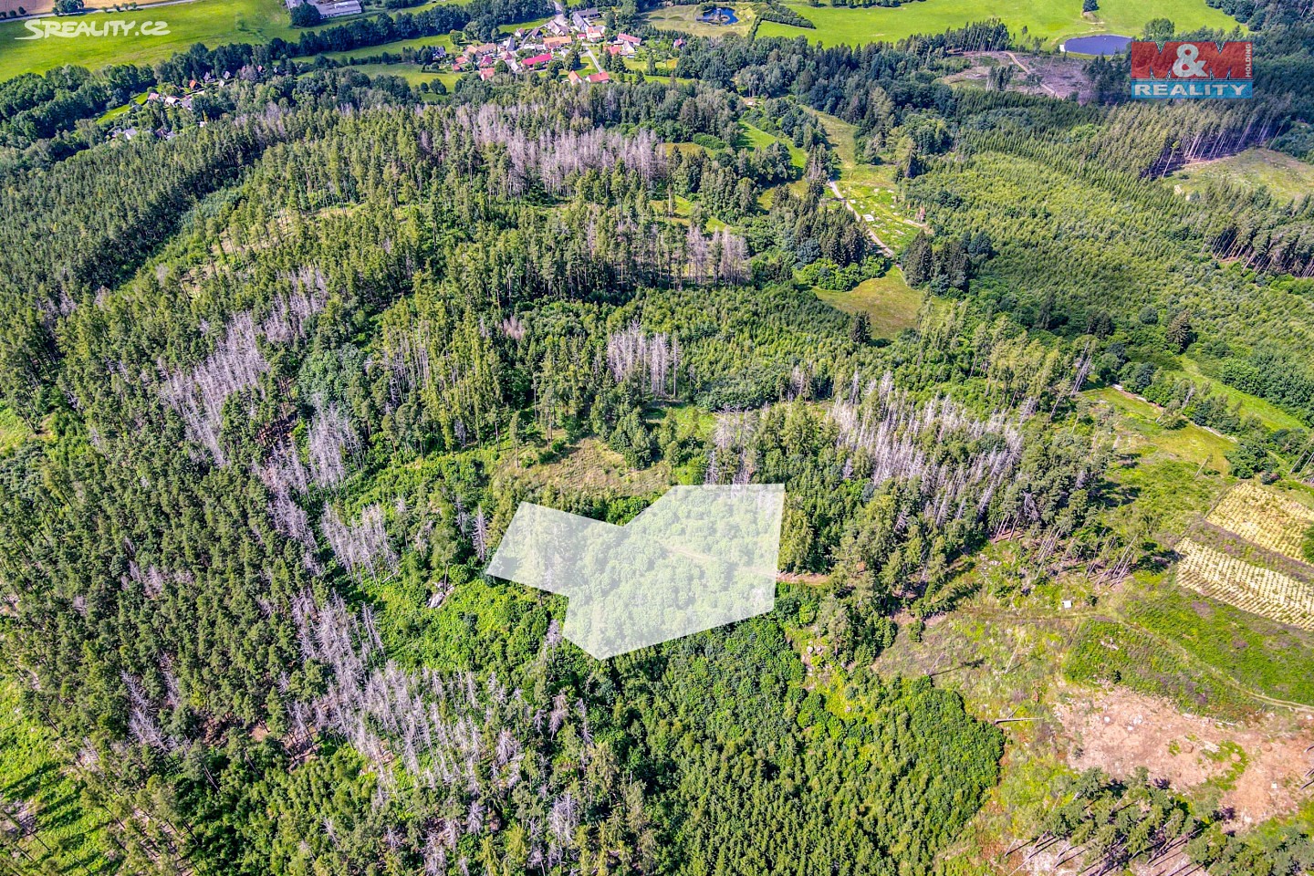 Prodej  lesa 18 746 m², Mileč - Záhoří, okres Plzeň-jih
