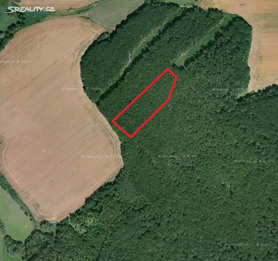 Prodej  lesa 2 288 m², Slatiny, okres Jičín