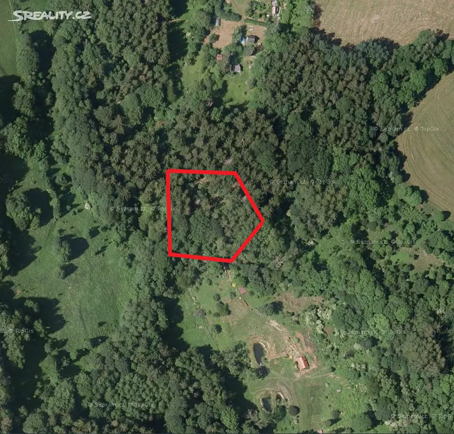 Prodej  lesa 2 273 m², Záhoří - Smrčí, okres Semily