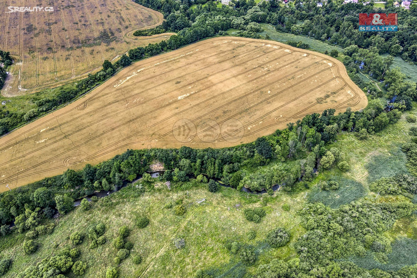 Prodej  lesa 3 698 m², Ždírec, okres Plzeň-jih